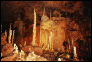 Pestera Ursilor - Bears Cave